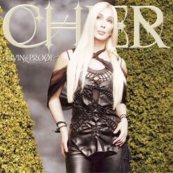 Body To Body Heart To Heart Chords by Cher