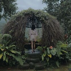 Umbrella Chords by Chero