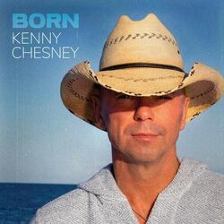 Just To Say We Did by Kenny Chesney