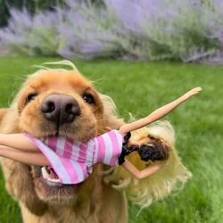 5 Milionów Influencerek Chords by Chivas