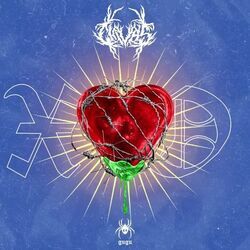 Xo Chords by Chivas