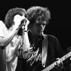 Chrissie Hynde chords for Dont fall apart on me tonight