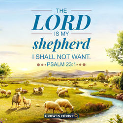 Psalm 23 Chords by Christ Our Life