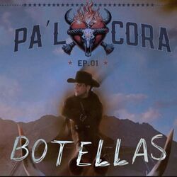 A Solas Con La Botella Chords by Christian Nodal