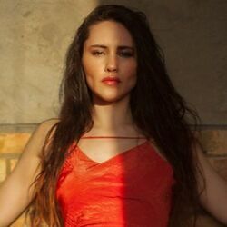 Twin Flames Intro by Christina Chong