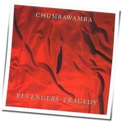 Don't Try This At Home Chords by Chumbawamba