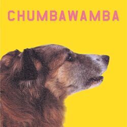 Dumbing Down Chords by Chumbawamba
