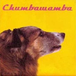 Never Let Go by Chumbawamba