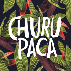 Si Vai Pal Sur Chords by Churupaca