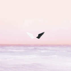 Come With Me Chords by Chxrlotte