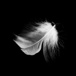 God No Chords by Chxrlotte