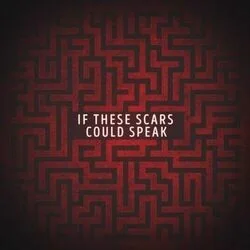 If These Scars Could Speak Chords by Citizen Soldier