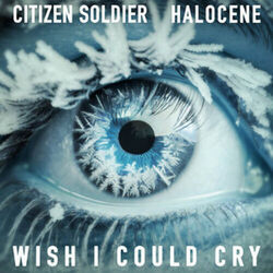 Wish I Could Cry by Citizen Soldier