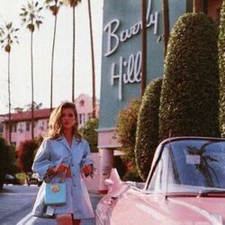 Beverly Hills by Civo