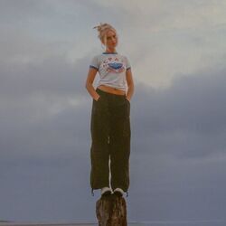 Pools And Palm Trees Chords by Claire Rosinkranz