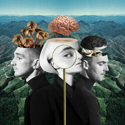 Shouldve Known Better Chords by Clean Bandit