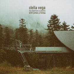The Field That Is Electric Chords by Clelia Vega