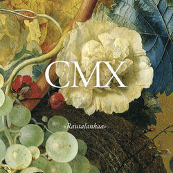 Rautalankaa Chords by CMX