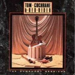Bird On A Wire Tab by Tom Cochrane