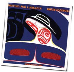 Waiting For A Miracle Chords by Bruce Cockburn