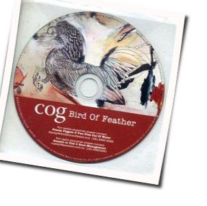 Bird Of Feather Guitar Chords By Cog Chords Explorer