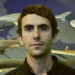 Caller No 99 Intro by Chris Cohen