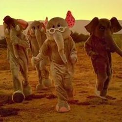 Animals  Chords by Coldplay