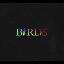 Birds Bass tabs by Coldplay