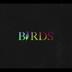 Birds by Coldplay