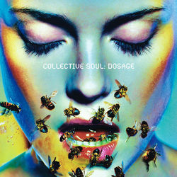 Dandy Life Chords by Collective Soul