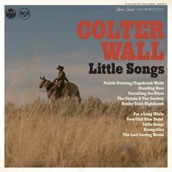 For A Long While Chords by Colter Wall