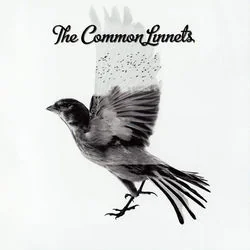 Before Complete Surrender Chords by The Common Linnets