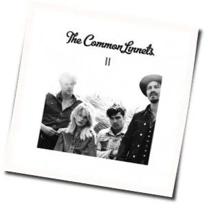 Days Of Endless Time Chords by The Common Linnets