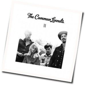 Days Of Endless Time by The Common Linnets