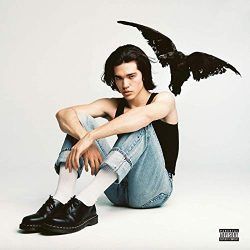 Fight Or Flight Bass Tab by Conan Gray