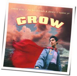 Grow Chords by Conan Gray