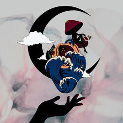 Conclusion chords for Porinita