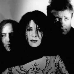 I Want You Chords by Concrete Blonde