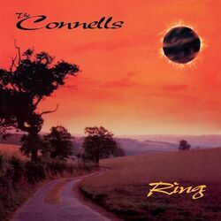Carry My Picture Chords by The Connells