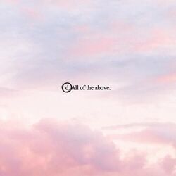 All Of The Above Chords by Connor Price