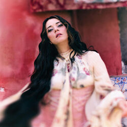 La Terra Di Hamdis Chords by Carmen Consoli