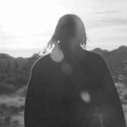 New King by Amanda Cook