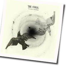 Miss Fortune Chords by The Coral