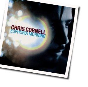 Euphoria Morning by Chris Cornell