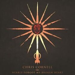 Nearly Forgot My Broken Heart Tabs by Chris Cornell