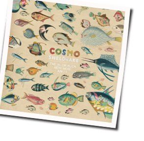 Birth A Basket Chords by Cosmo Sheldrake