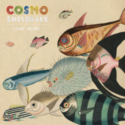 Come Along Bass Tab by Cosmo Sheldrake