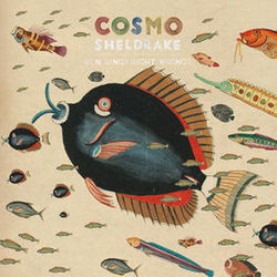 Solar Waltz Ukulele Chords by Cosmo Sheldrake