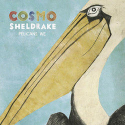 The Fly Chords by Cosmo Sheldrake