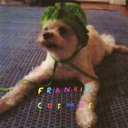 Five First Loves Chords by Frankie Cosmos